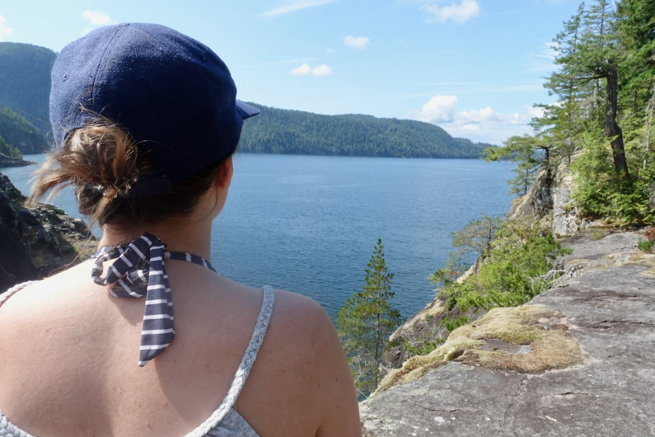 The view from the hike at Teakerine Arm