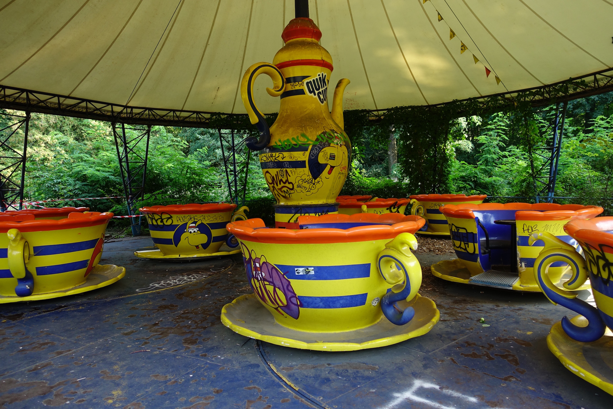 The abandoned tea cupsg