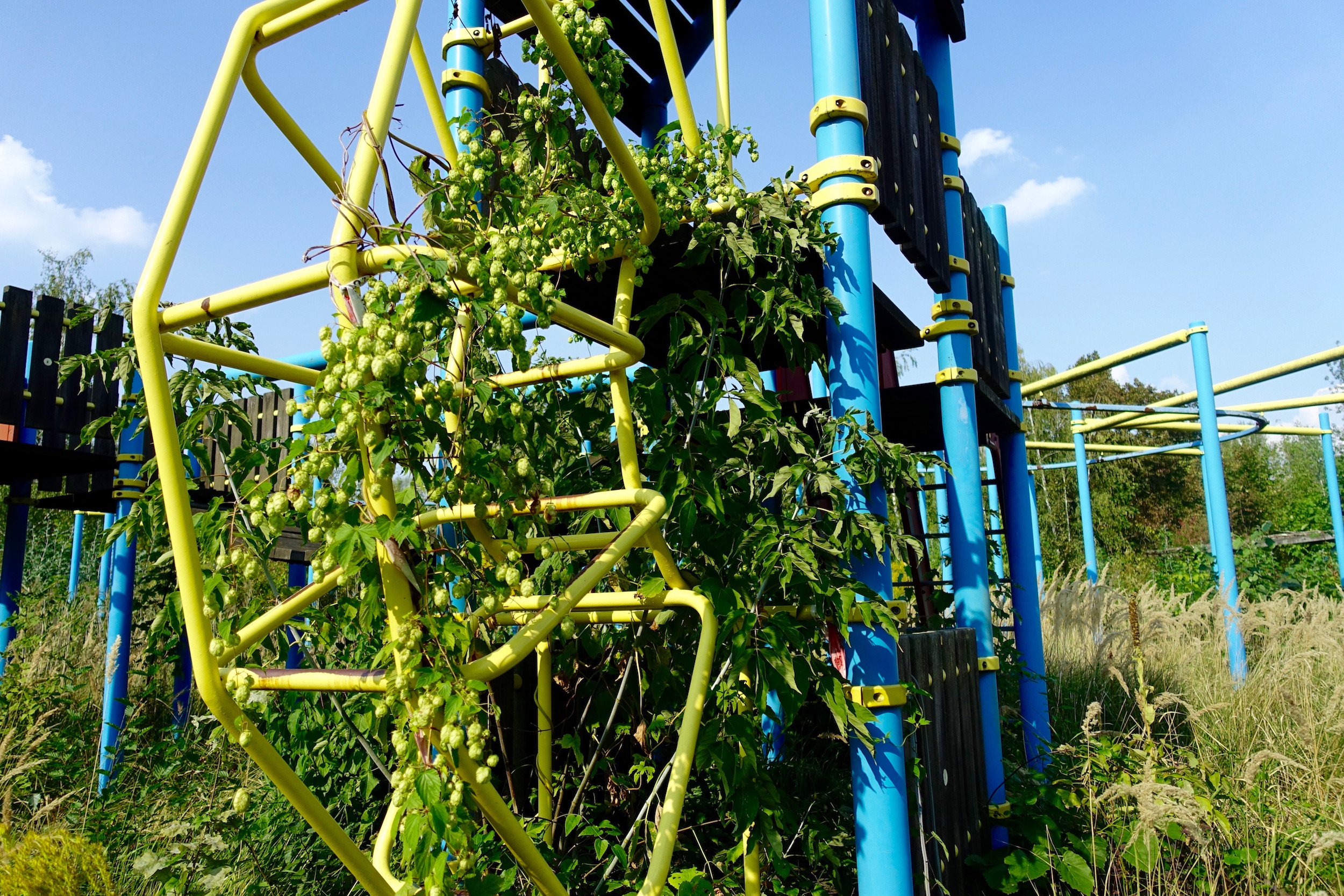 The abandoned playground